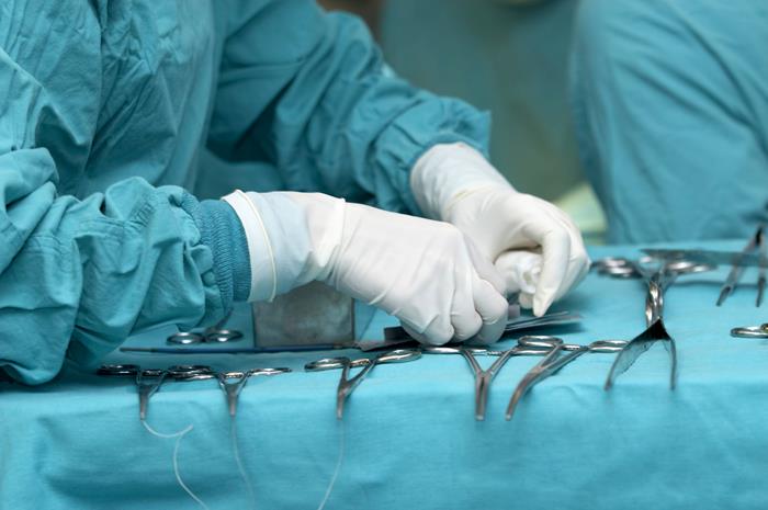 Préparation chirurgicale à la clinique vétérinaire Lafayette